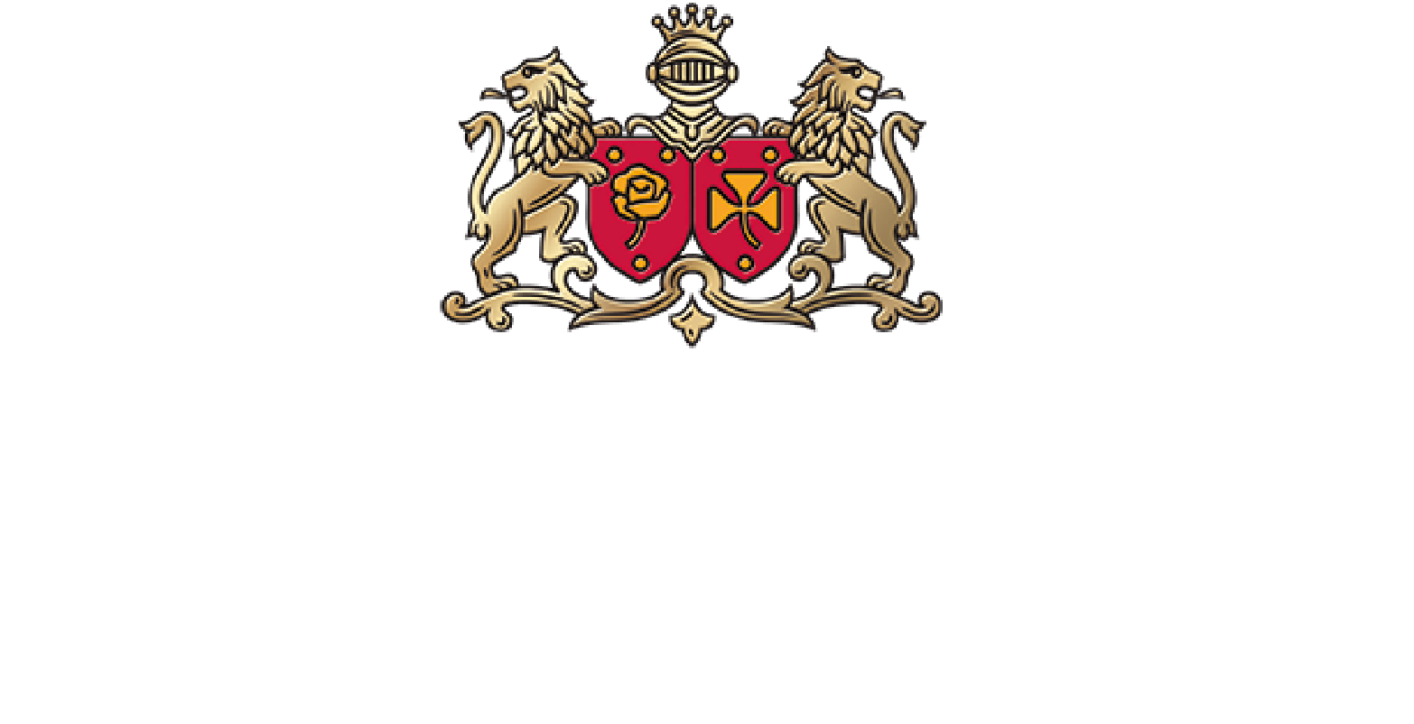 Main Sponsor Logo